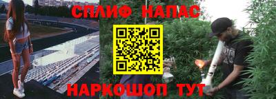 прущие крисы Аргун