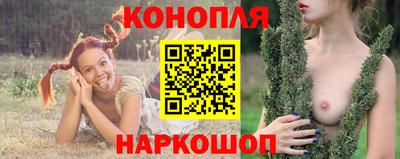 прущие крисы Аргун